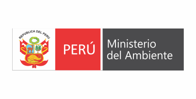 ministerio del ambiente